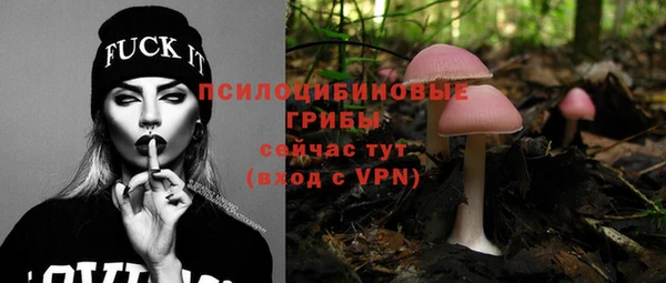 индика Беломорск