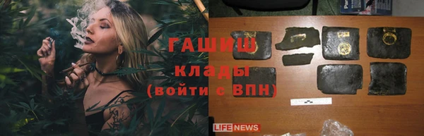 индика Беломорск