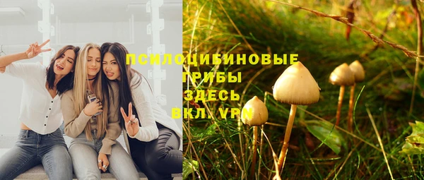 хмурый Богородск