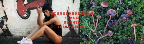 хмурый Богородск