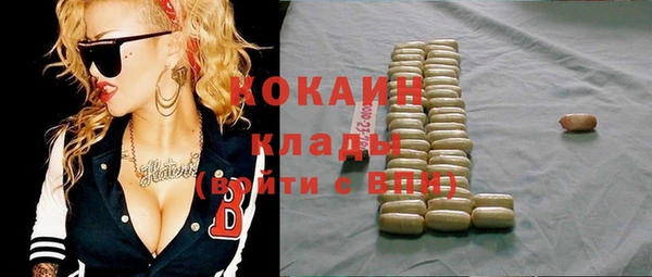 индика Беломорск