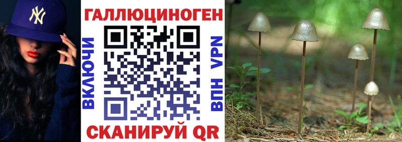 Псилоцибиновые грибы Magic Shrooms  Бирск 